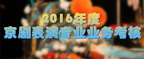 www中操www国家京剧院2016年度京剧表演专业业务考...